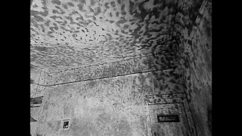 Senses of Cinema (2022) download