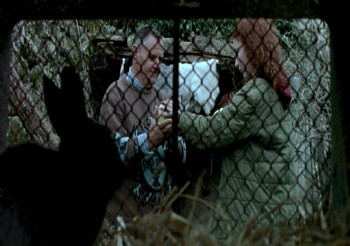 Sequins (2004) download