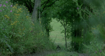 Seraphine (2008) download