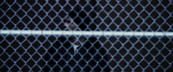 Set Up (2011) download