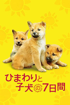 Seven Days of Himawari and Her Puppies (2012) download