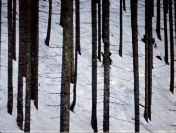 Shadows of Forgotten Ancestors (1965) download