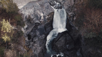 Shadows of Light (2020) download