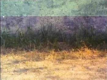 Shaolin Dolemite (1999) download