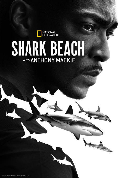 Shark Beach with Anthony Mackie (2024) download