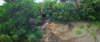 Shark Whisperer (2025) download