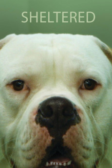 Sheltered (2020) download