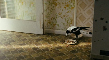 Shopping (2013) download