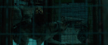 Siberia (2020) download