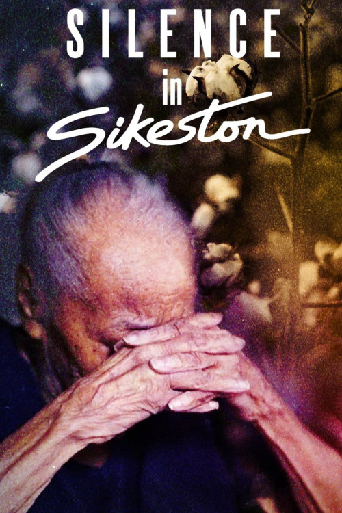 Silence in Sikeston (2024) download