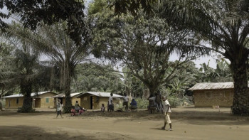 Silent Forests (2019) download