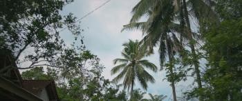 Singsot (2025) download