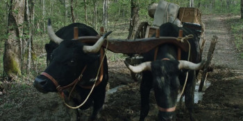 Six Days in August (2024) download