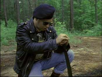 Skinheads USA: Soldiers of the Race War (1993) download