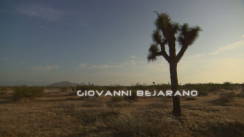 Snakes on a Train (2006) download