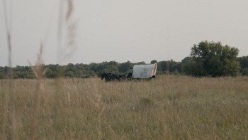 Sod and Stubble (2025) download