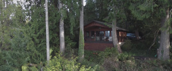 Something in the Woods (2021) download