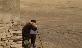 Son of the Bride (2001) download