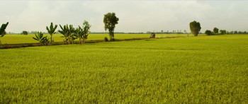 Song of the South (2023) download