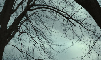 Sovereign (2025) download