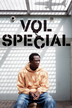 Special Flight (2011) download