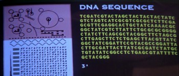 Species (1995) download