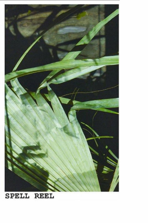 Spell Reel (2017) download