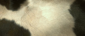 Spermageddon (2024) download