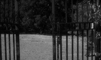 Spider Baby or, The Maddest Story Ever Told (1967) download