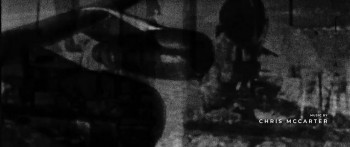 Spiders on a Plane (2024) download