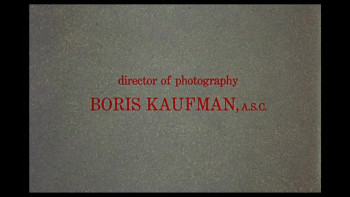 Splendor in the Grass (1961) download