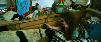 Spork (2010) download