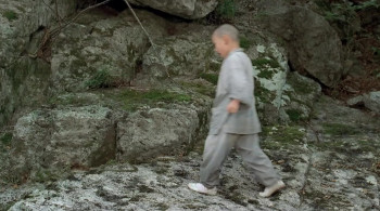 Spring, Summer, Fall, Winter... and Spring (2003) download