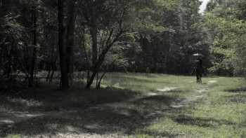 Storm Over Georgia (2023) download