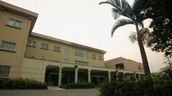 Strain (2020) download