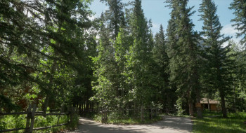 Summer Qamp (2023) download