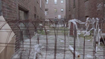 Survive the Night (1993) download