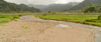 Suzzanna: Kliwon Friday Night (2023) download