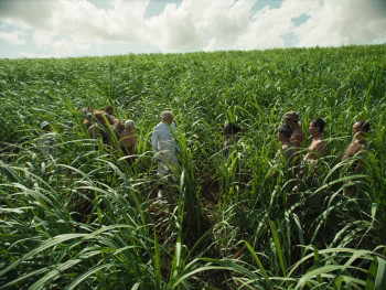 Sweet Dreams (2023) download