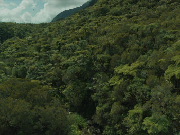 Sweet Dreams (2023) download