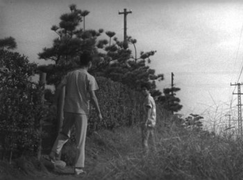Taiyô to bara (1956) download