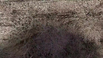 Tales from Pandora's Box 3 (2023) download