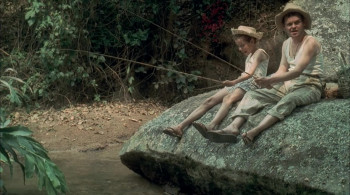 Tapete Vermelho (2005) download