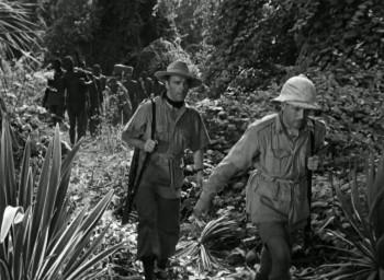 Tarzan and His Mate (1934) download