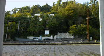 Tarzan's Testicles (2017) download