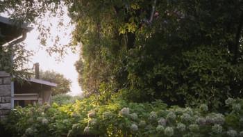 Tata (2024) download