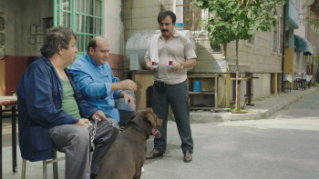 Telling Tales (2015) download