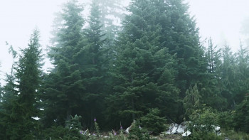 Ten Dollar Death Trip (2020) download