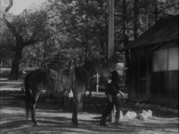 Texas Terror (1935) download