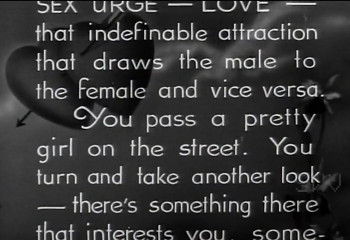 That's Sexploitation! (2013) download